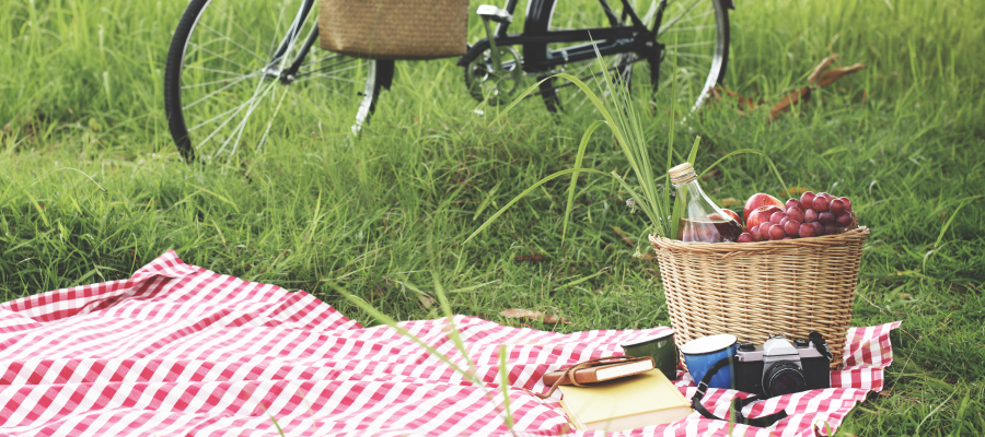 Picnic aesthetic: las 12 cosas que no deben faltar en tu próximo día de  campo