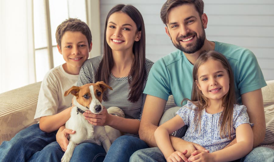 Juegos de inteligencia para perros, consejos para disfrutar en familia